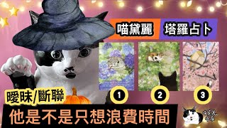 塔羅占卜🔮曖昧/斷聯/停滯，他值得花時間發展嗎❓還是他只想浪費時間❓ #喵黛麗塔羅