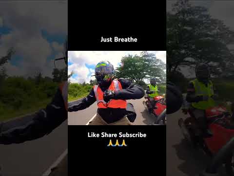 Watch It | Living Life My Way #shorts #himalayan450 #pov