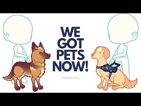 WE GOT PETS in Chibimation!!