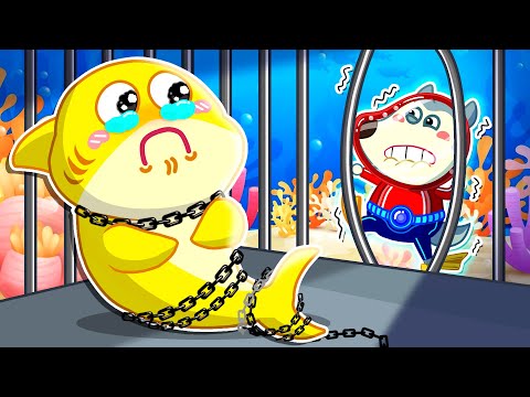 Super Lycan Save Baby Shark | Save the Sea Animals 🐺 Cartoons for Kids | LYCAN - Arabic