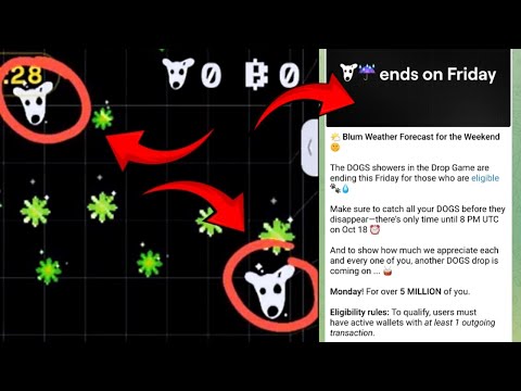 How to get Dogs airdrop in Blum from monday | Official announcement