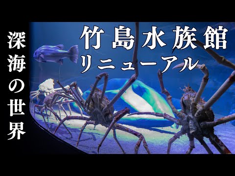 不気味? 怖い!? 興味深い深海の世界！！　竹島水族館がリニューアル、カピバラやアシカの新設も　愛知県蒲郡市