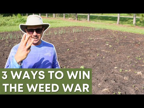 Conquering a Weedy Garden: 3 Effective Solutions