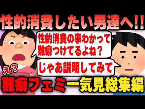 ツイフェミ 難癖をつける女の末路…一気見まとめ総集編【作業用】【ツイフェミ】