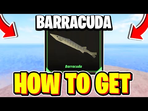 How To CATCH BARRACUDA In Fisch! Roblox