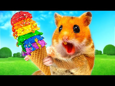 HamHam Hamster gets trouble with Vending Machine Rainbow Fruits Ice Cream | Life Of Pets HamHam