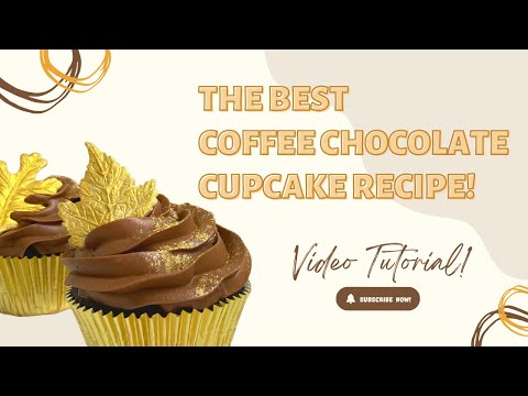 Best Chocolate Cupcake Recipe