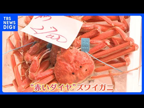 サンマは安いがイクラ高騰“値上げ”する飲食店も！お得な“大ズワイガニ”とは？｜TBS NEWS DIG