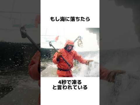 世界一稼げるベーリング海のカニ漁についての雑学#雑学#豆知識#雑学豆知識