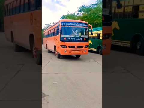 jalal transport bathinda 🥀🥀 moga to bathinda 🥀🥀 amazing bus shorts 🥀🥀 buses of bathinda 🥀🥀 #trending