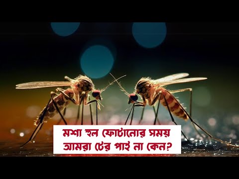 মশা হুল ফোটানোর সময় আমরা টের পাই না কেন? | Mechanism of Mosquito Bite | VOICE OF KHULNA