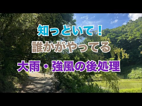 週末当たり前のように遊びに来るあなた！地域の方々への感謝を忘れずに！地域のみなさんは見えないところで整えてくれています！