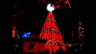 Silver Dollar City Christmas Tree - Carol Of The Bells