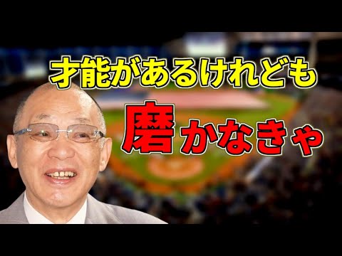 【落合博満】才能と練習の量は自分を裏切らない【名言】