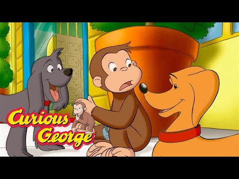 George and the Doggy Dilemma  🐵 Curious George 🐵 Kids Cartoon 🐵 Kids Movies