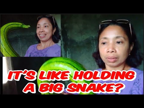 TOO MANY TYPHOON 🌀🌧️ AND IT'S LIKE A SNAKE 🐍|| JuvsVlog Filipina Life 🇵🇭