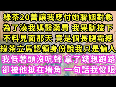 富婆20萬讓我應付她網戀對象，只因嫌對方曾被拐賣還又胖又醜，為了湊我媽醫藥費我果斷接下，不料奔現那天竟是個長腿霸總，富婆立馬認領身份 我想拿錢跑路，卻被他死死抓住一句話我傻眼了#甜寵#灰姑娘#霸道總裁