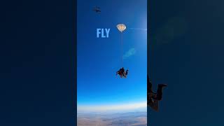 Skydive Everyday #video #vegas #travelstories #travel #vegasvacation #stories #parachutes