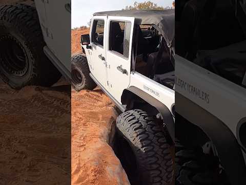 OMG 😳 Take your adventures to new heights with our rugged white jeep