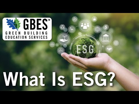 Everything You Need to Know About ESG (Environmental Social Governance) - Continuing Education Clips