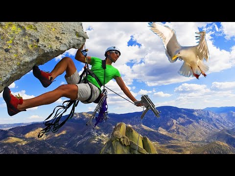 Killing Birds and Rock Climbing (Peaks of Yore)