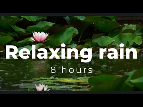 Relaxing Music & Rain Sounds 🌧️ Fall Asleep and Relax