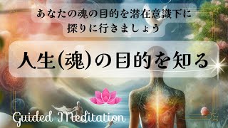 【誘導瞑想】今世の人生(魂)の目的を知る｜魂の目的を探る｜あなたの潜在意識下に魂の目的を探りに行きましょう✨️ ボディースキャン