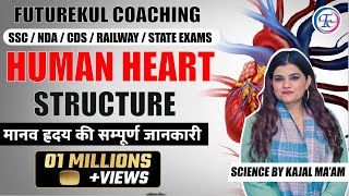 HUMAN HEART STRUCTURE || CLASS | BIOLOGY BY KAJAL MA'AM #humanheart #bestscienceteacher