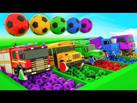 Surprise Big Soccer Ball Kids Songs - Baby Shark Song + Bingo Song -Baby Nursery Rhymes & Kids Songs