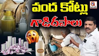 "A Hundred Crores Worth of Donkey Milk." | QnewsHD