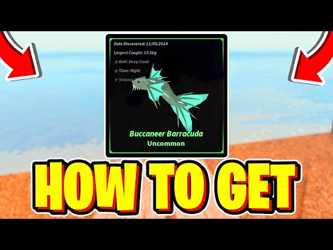 How To CATCH BUCCANEER BARRACUDA In Fisch! Roblox (Buccaneer Barracuda Fish Location)