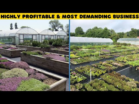 Medicinal And Herbal Farming : Demanding Farming Business Ideas from Scratch - Beginners Guide