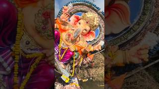 Wrong way Ganesh Visarjan #shortsfeed #shorts #support #ganeshjivisarjan #ganesha #funny