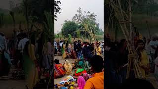 #video #chhath_puja_2024 #Ziddi_vivek #trendingsong  #viral #short