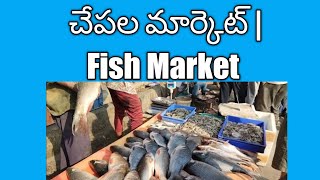 చేపల మార్కెట్ | Fish Market, Chintal, Hyderabad