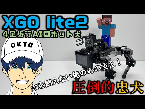 【4足歩行AIロボット】キュートなXGO lite2をレビューしてみた！【Luwu Dynamics】