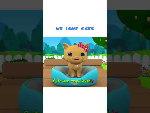 We Love Cats | Omar & Hana English