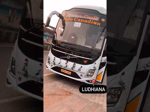 indo canadian 🥀🥀 amazing bus shorts 🥀🥀 buses of bathinda 🥀🥀 #trending #bus #canadian #punjab #onfire