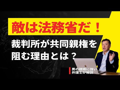 共同親権の敵は法務省だ‼️法務省が共同親権に反対する理由を解説