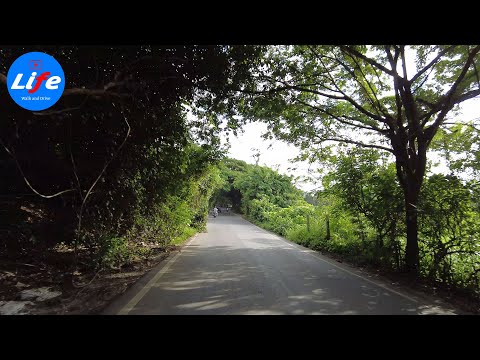 Aarey Colony 4K HDR - Evening Ride - Goregaon, Mumbai IN