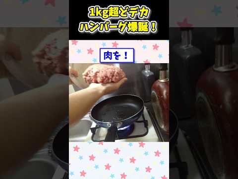 【2ch面白いスレ】1kgの超どデカバンバーグ作ったったwwwwww