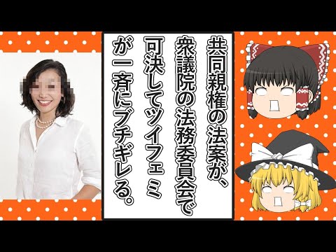 【ゆっくり動画解説】共同親権を盛り込んだ法案が衆議院法務委員会で可決された前後のツイフェミ達のブチギレ発言をまとめてみた