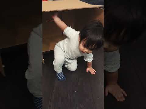 Funny baby in a box #babiesofinstagram #babiesoftiktok #babyreels #babiesofyoutube #toddlerlife