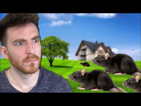 Why DougDoug's house has rats