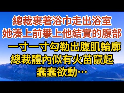 【完結】總裁裹著浴巾走出浴室，她湊上前攀上他結實的腹部，一寸一寸勾勒出腹肌輪廓，總裁體內似有火苗竄起，蠢蠢欲動…#恋爱 #婚姻 #情感故事 #爱情  #家庭  #人生感悟#故事#小说#霸总