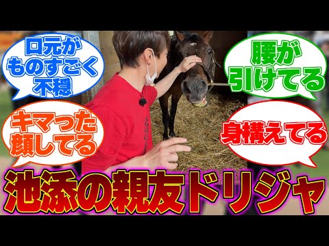 池添永遠の親友、ドリームジャーニーに対する反応集