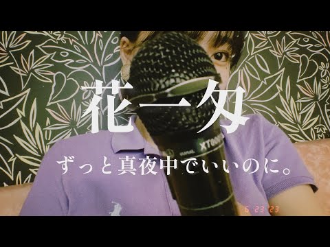 【ずとまよ好きが歌う】花一匁/ずっと真夜中でいいのに。