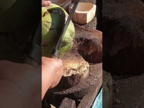 cutting a fresh green coconut #satisfying #coconut #streetfood #youtubeshorts @GatchieJr33