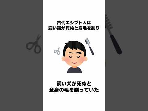 誰かに話したくなる雑学 続きは本編で #Shorts #雑学 #豆知識