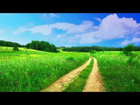 Spring Meadow ASMR Ambience | sounds of nature, birds singing, wind, for sleep, study, meditation